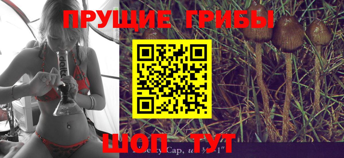 Псилоцибиновые грибы прущие грибы  Вход с VPN  Сальск 