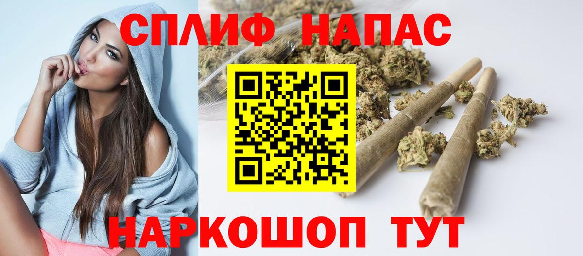 МАРИХУАНА сатива Сальск